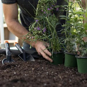 بیلچه باغبانی فیسکارس FISKARS